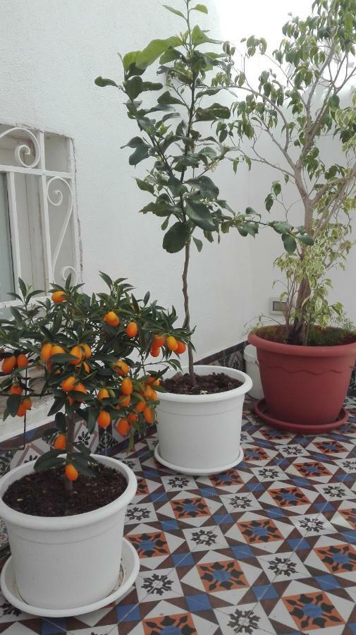Demetra Rooms Palermo Exteriér fotografie